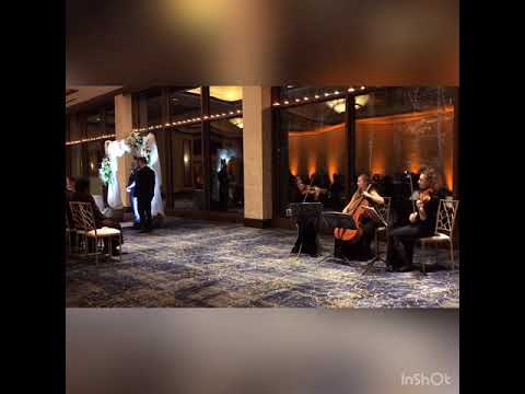 Promotional video thumbnail 22 for NY Music Entertainment