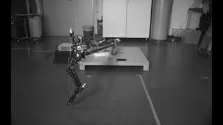 SELDA actuated robot leg hopping