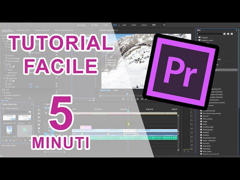 How to Use Adobe Premiere Pro in 5 Minutes // Tutorial