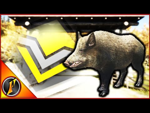 Diamond Wild Boar from the Hirschfelden Missions!