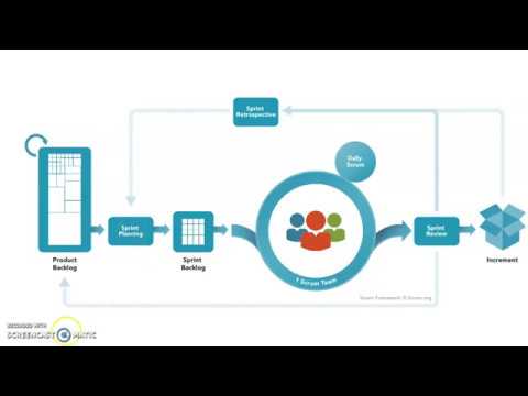 Scrum Master Training & Scrum Ceremonies