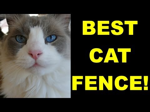 BEST Cute CAT Kitten FENCE Containment System Keep Cats in YARD