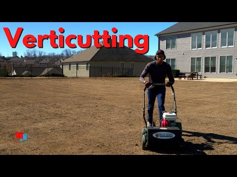 Part of a video titled Verticutting Your Lawn - Not for the Weak - YouTube
