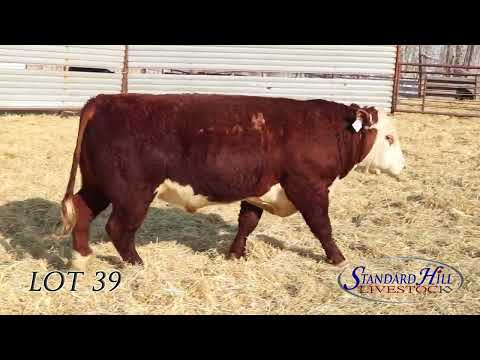 Lot 39-SHL 187J, SHC 2023