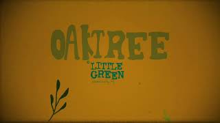 OAK TREE - ANIMATED LYRIC VIDEO (This Working Life Book feat. Little Green)
