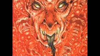 Necromanicider - After in Mortification