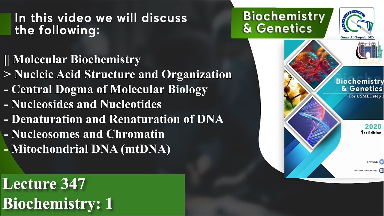 Molecular Biochemistry | Nucleic Acid Structure and Organization