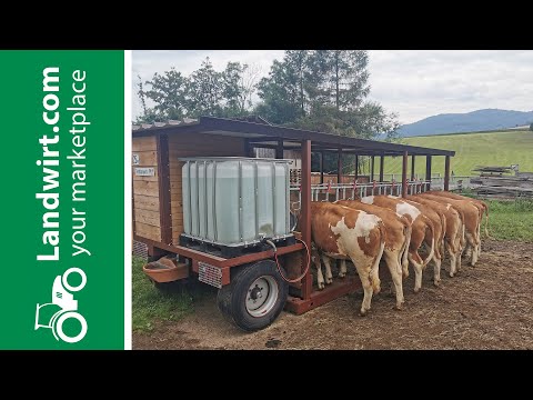 Weidetaxi im Selbstbau