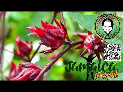 Jamaica Gospel Mix | Show  #43 | Justice Di President / Justice Sound