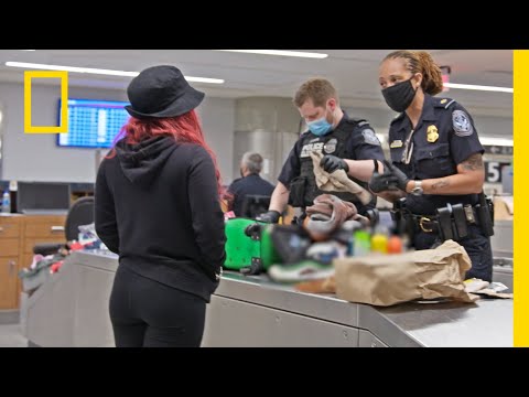 Podróżna miała w bagażu różne narkotyki! | Złapać przemytnika