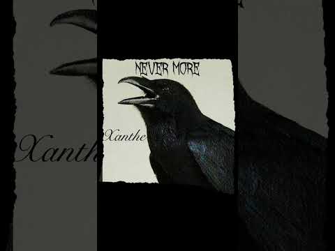 #nevermore #Poe #music #chicago #xanthe #guitar #singersongwriter #acusticguitar #diymusician