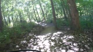 If You&#39;re Gonna Be Dumb