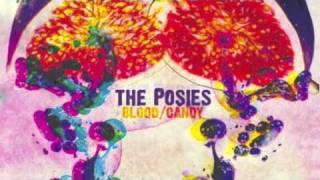 The Posies / For the Ashes