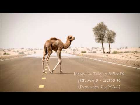 Keys in Tokyo REMIX feat Anja - Stepa K (Produced by YA6)