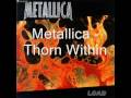 Metallica - Thorn Within (with lyrics)
