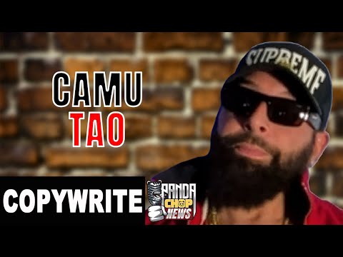 PANDA CHOP! News and COPYWRITE