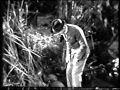 A GIRL OF THE LIMBERLOST Swamp Scene