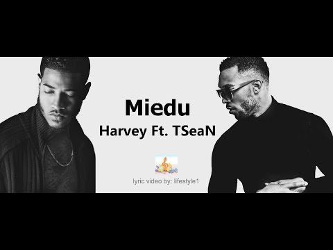 Harvey - Miedu Ft. TSeaN (lyrics)