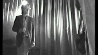 Hyoscyamus Niger - Dwie Gwiazdki Śniegu