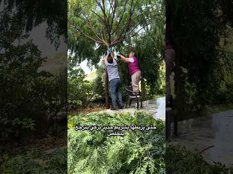 recent video 1