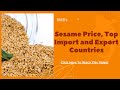 Sesame Seed Price Top Import Export Countries 2021
