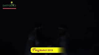 Paani Tera Rang Kesa Dance Choreography by Naveen [Niv] Daffodils world school sikar