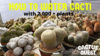 #HOWTO WATER #CACTI & #SUCCULENTS + CARE TIPS w/ PETER W.