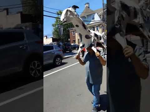 San Pedro de Cruz Loma Newark New Jersey procesión