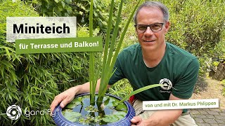 Ein Miniteich für Balkon und Terrasse, Wasser im Garten, Mücken Bekämpfen | gardify Tipps