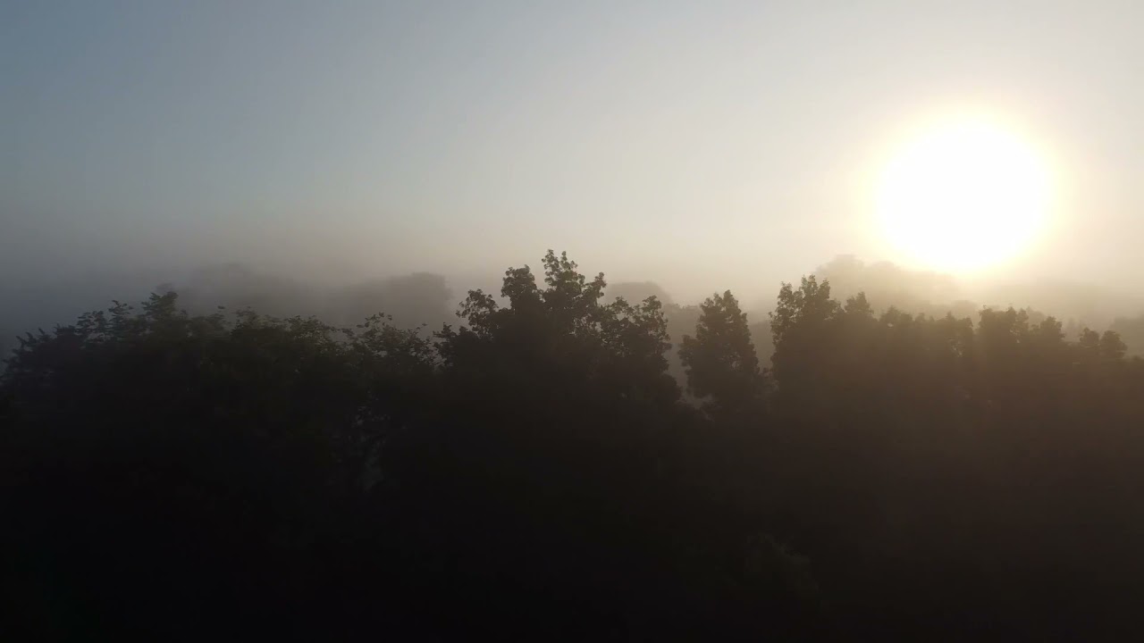 Partners of Fish & Wildlife - federally Endangered leafy prairie clover