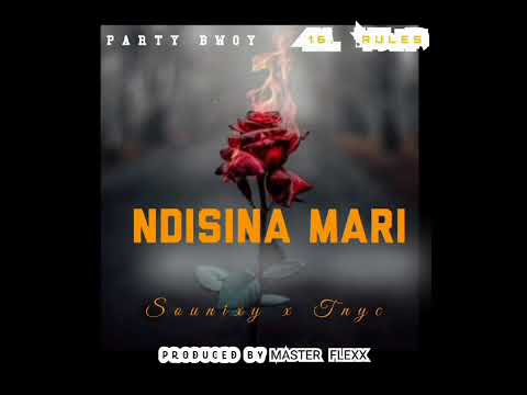 Sounixy ft T Nyc-_-ndisina mari  (official visualiser)
