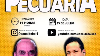 Miniatura do vídeo