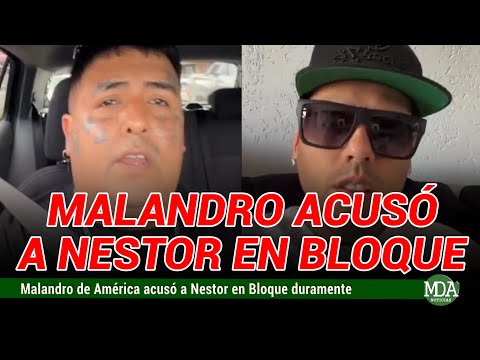 MALAJUNTA MALANDRO ACUSÓ a NÉSTOR en BLOQUE de “ROBARLE” una FRASE de una CANCIÓN