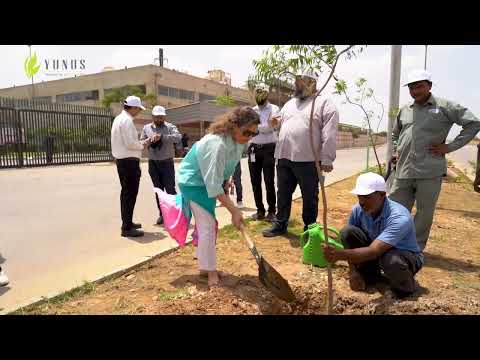 Yunus Plantation Drive!>