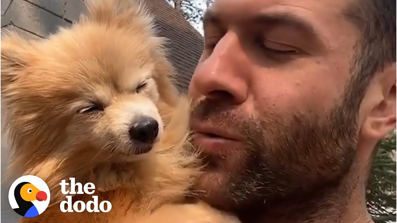 16-Year-Old Dog Steals Her Foster Dad's Heart | Ruff Life With Lee Asher