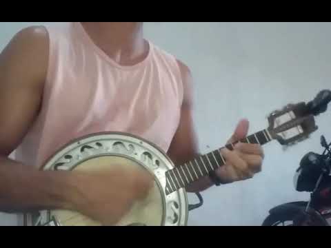 Formiga miúda  Shopping samba