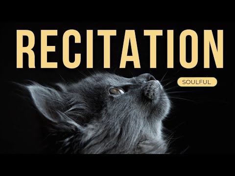 Peaceful Quran Recitation of Surah Rahman for Sleep and Meditation | Cat Relax and Satisfying.