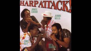 James Cotton; Junior Wells;  Carey Bell;  &amp; Billy Branch -  Down Home Blues