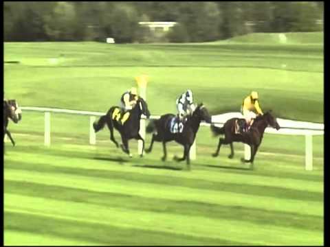 München-Riem, Bayerische Hausbau Hamburg, 16.9.2012 - Sieger: Beau Reve