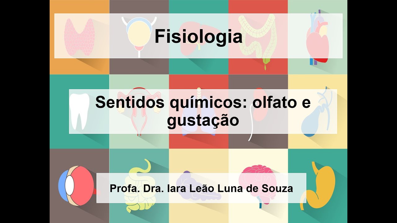 Sentidos químicos: olfato e gustação