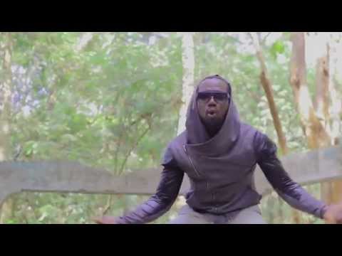 Label STATES PRODUCTIONS fait la sortie du 4èm vol du COMPIL NATURAL REGGAE