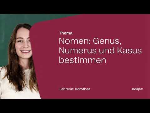 Nomen: Genus, Numerus und Kasus bestimmen