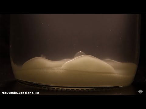 No Dumb Questions 066 - Welcome to the Twisted Knuckle