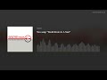 New song: ”David Rovics Is A Nazi”