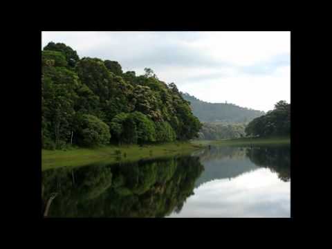 Thekkady video