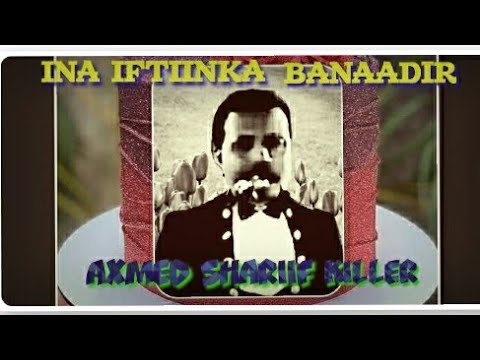 AXMED SHARIIF KILLER (AUN) HEESTI MIDI II MACIINI JIRTEE