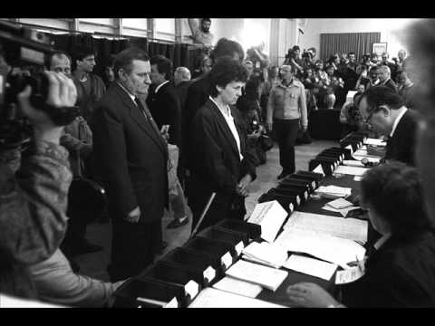 Program wyborczy Pawła Kukiza z  1995 roku