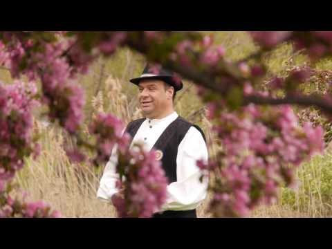 Omu iute mbătrânește - Călin Horon