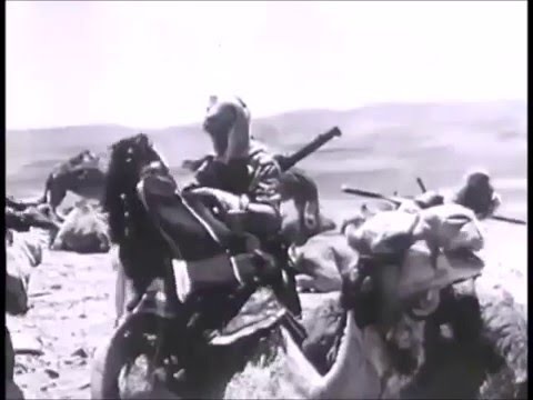 Palestine - Israël : Histoire d'une terre