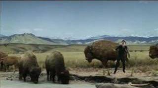 Liam Lynch- The Museum Rap